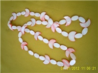 1e897571-Još malo madridskih školjaka.JPG